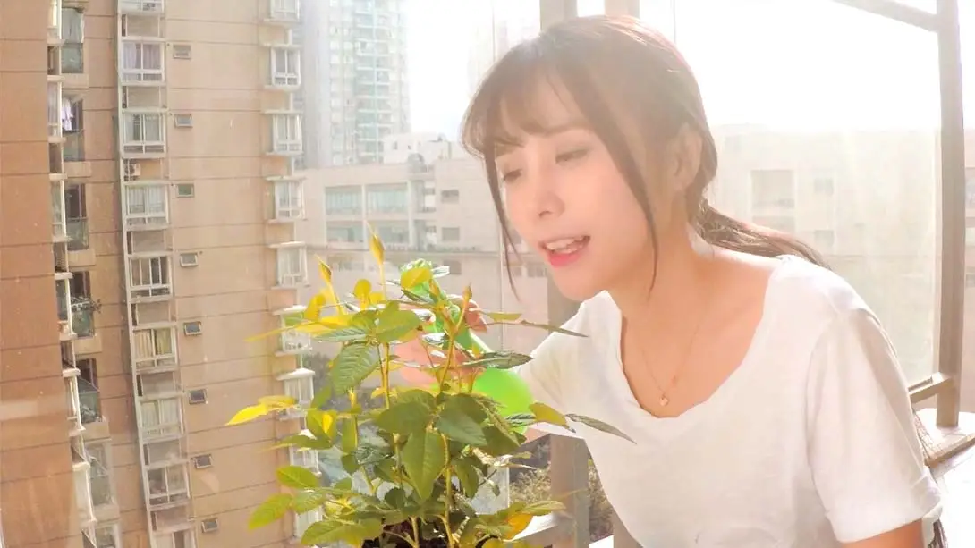 图片[3]-女神驾到：夏日甜心 v1.0.0 金手指-NS游戏网