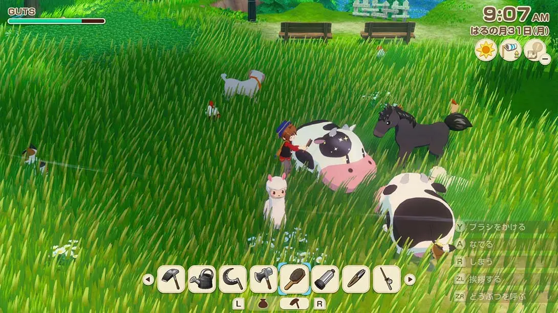 图片[5]-牧场物语 风之集会 v1.0.4 金手指-NS游戏网